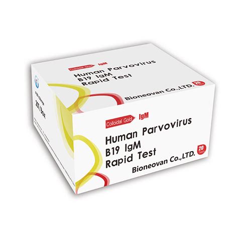 parvovirus b19 igg test high